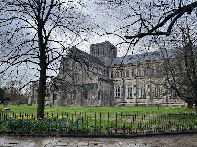 Winchester cathedral, looking a bit mysterious in the rainy weather. The grass in front is lush and green, and there are some daffodils